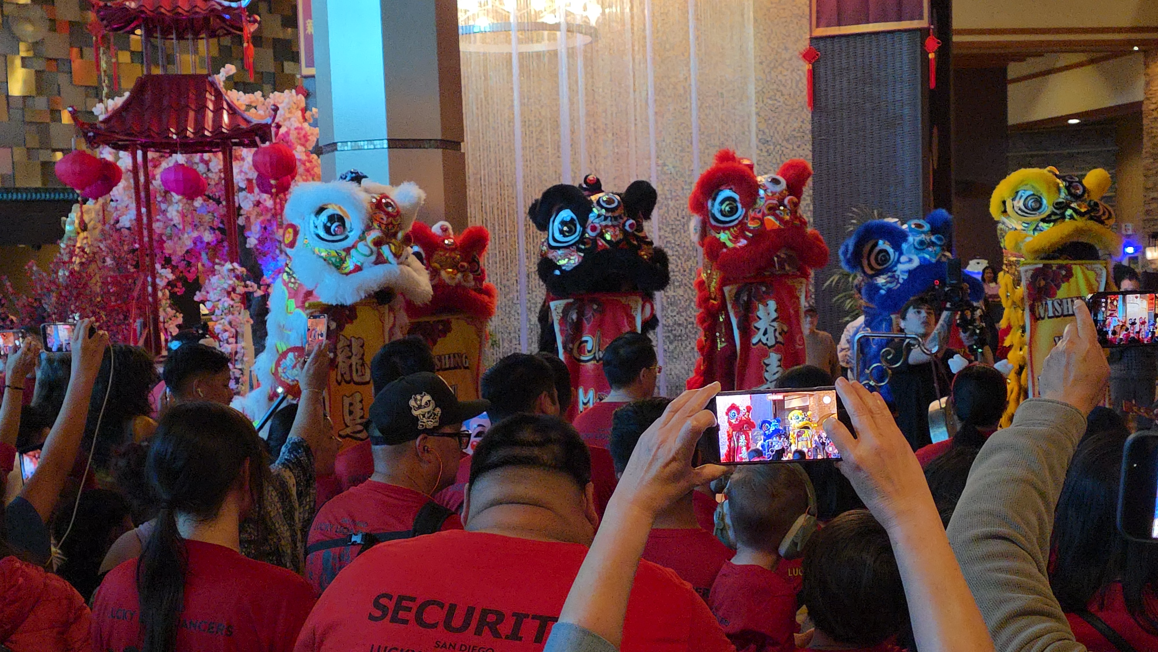 Lunar New Year community celebration